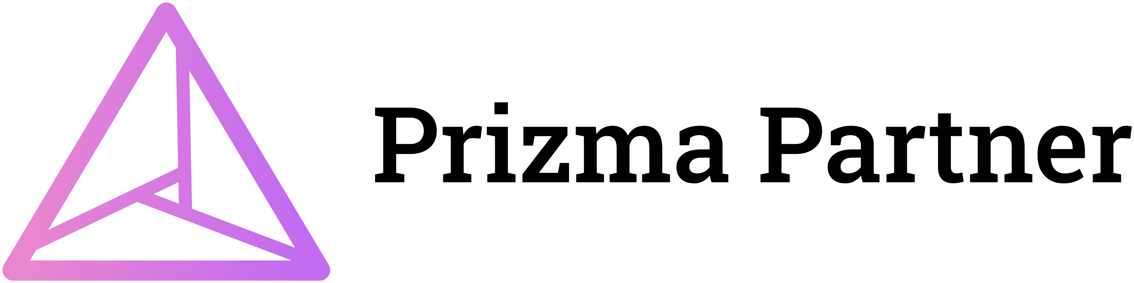 Prizma Partner Logo