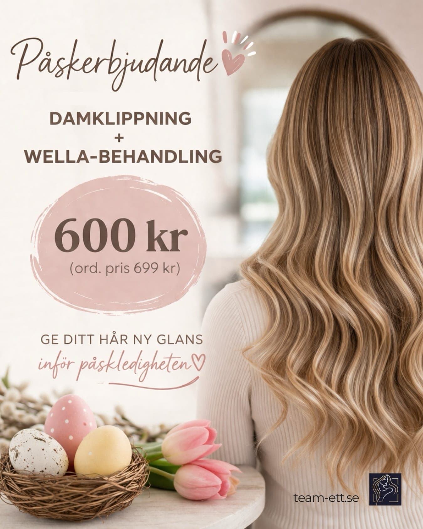 Inlägg för Team Ett – kampanjerbjudande på sociala medier